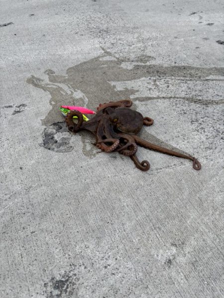 やっと今年1本目〜