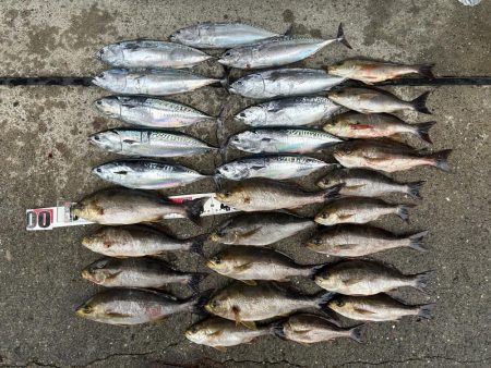 五目釣りでイサキ狙い