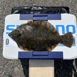 久しぶりの釣り