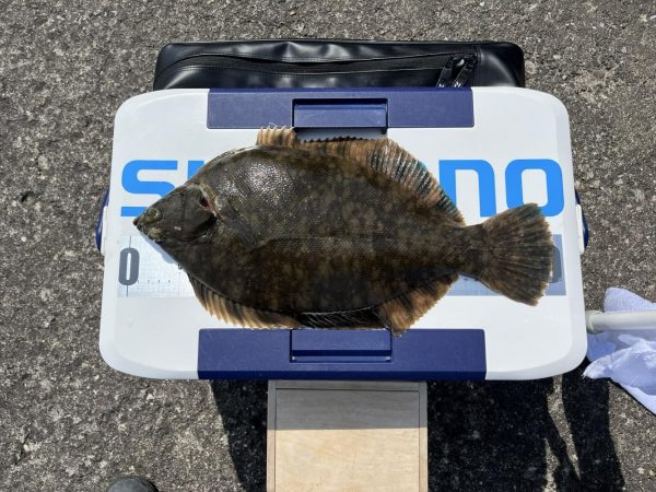 久しぶりの釣り