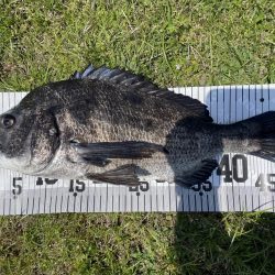 イチノ兄弟、釣果!