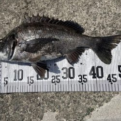 イチノ兄弟、釣果！