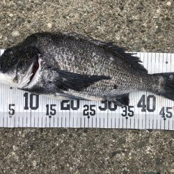 イチノ兄弟、釣果！