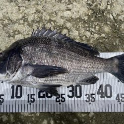 イチノ兄弟、釣果！