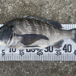 イチノ兄弟、釣果!