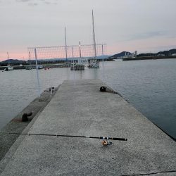 色々釣れました。五目釣り。