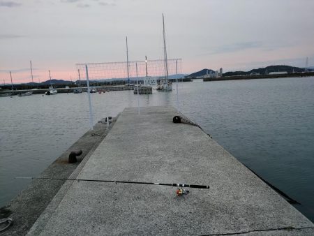 色々釣れました。五目釣り。