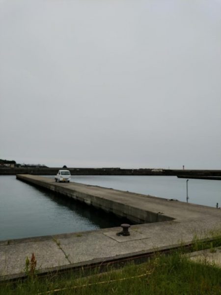 見たこと無い魚釣れたよ！