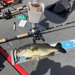 GW北山田40cm〜4匹