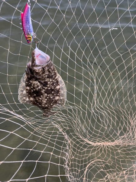 GW終盤宮津湾偵察