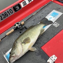 北山田53、45cm他3匹