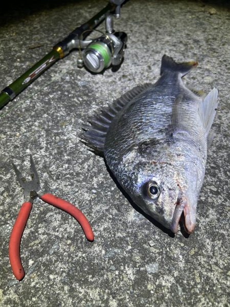 ★★アタリ連発・うなぎ釣りのはずが★★