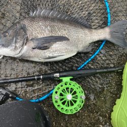 ワカメの上で一枚