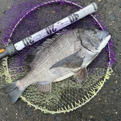 荒れる前のランガン釣行