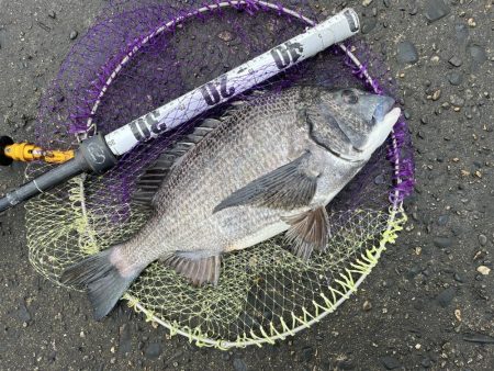 荒れる前のランガン釣行