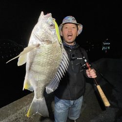 キビレチヌ×スプーン