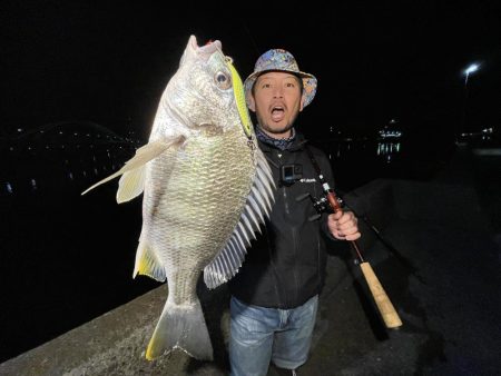 キビレチヌ×スプーン