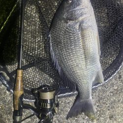 爆風の中爆釣👍