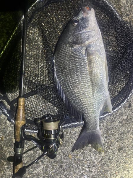 爆風の中爆釣👍