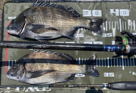 チヌフカセ釣り