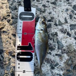 ライトゲーム…