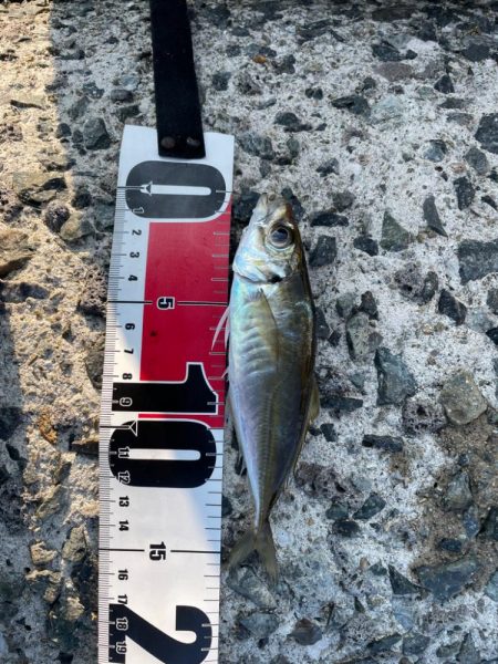 ライトゲーム…