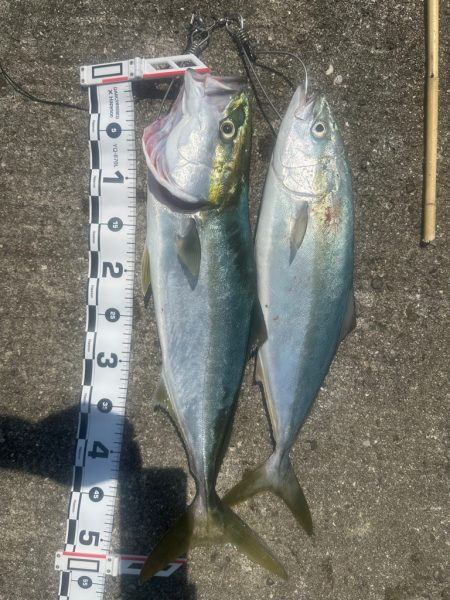 ライトショアジギング