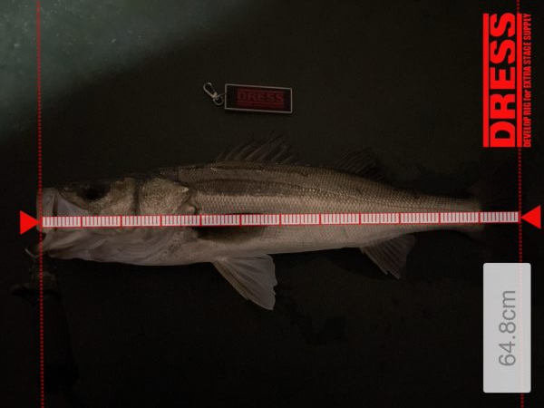 久々に楽しかった