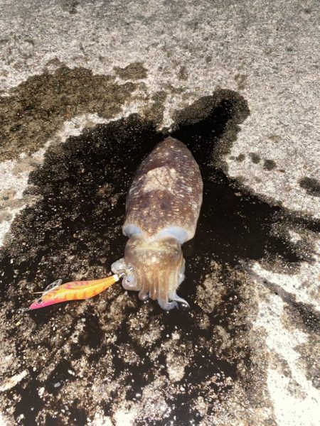 友達と2人遠征で爆釣