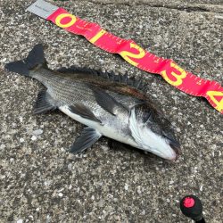 こんな所にもいるんだ⁉︎