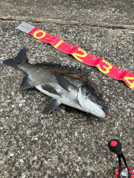 こんな所にもいるんだ⁉︎