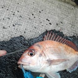 渋すぎヒトツテンヤ