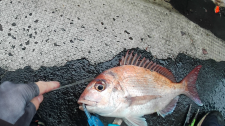 渋すぎヒトツテンヤ