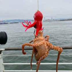 今年初の大阪湾奥。蛸散歩。。