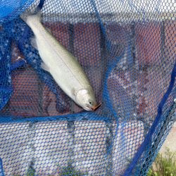 多摩湖フィッシングエリア