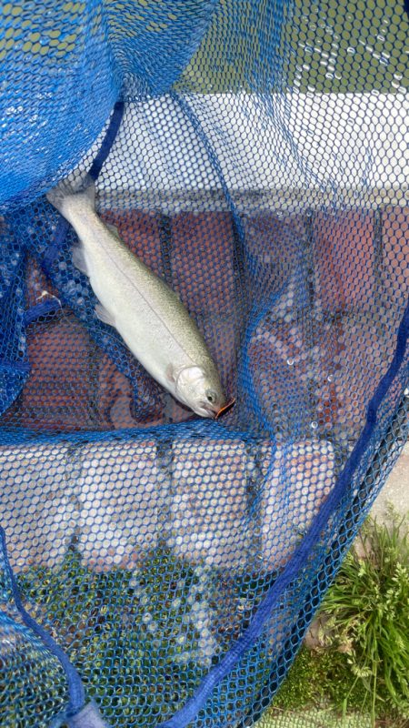 多摩湖フィッシングエリア