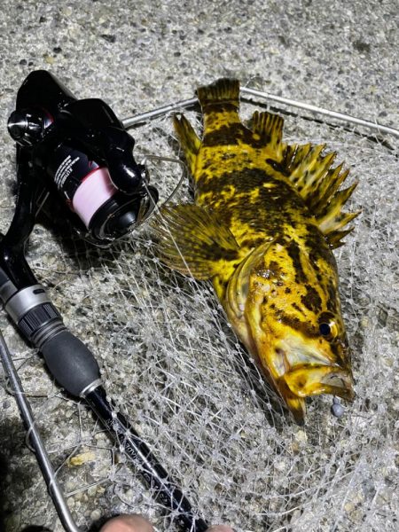 メバリングのつもりが・・・