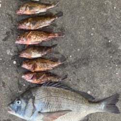 底物好調です♪