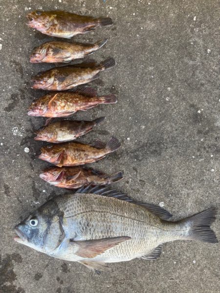 底物好調です♪