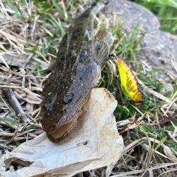 そこをネチネチ