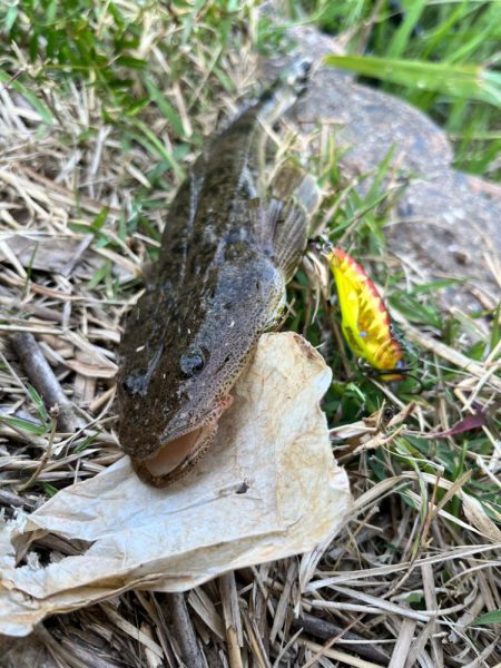 そこをネチネチ