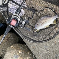 当たりは多いが