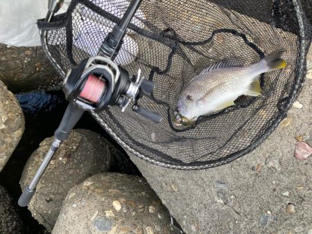 当たりは多いが