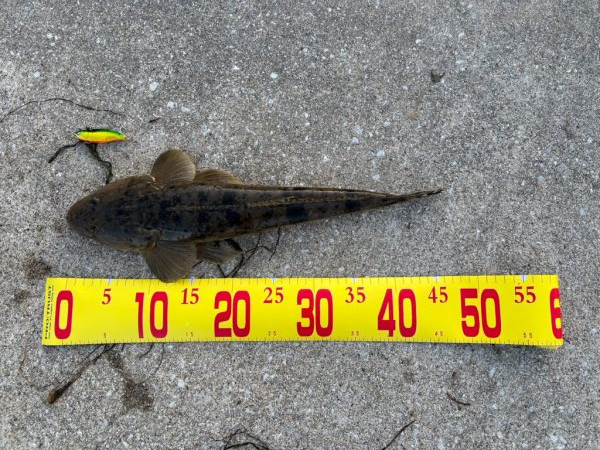 ルアーフィッシング