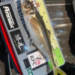 ナイトバチコン