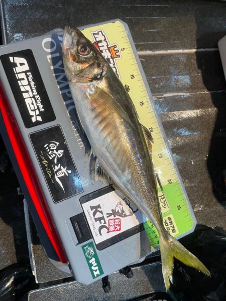 ナイトバチコン