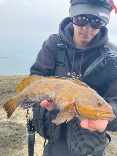 男鹿アジングandメバリング！