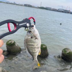 本日2回戦目は淀川で！