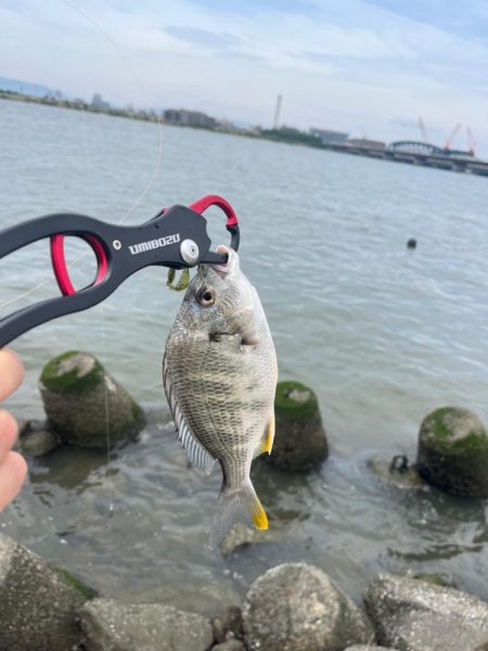 本日2回戦目は淀川で！