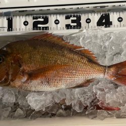 鯛ラバ、オフショアジギング